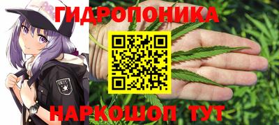 твердый Тара