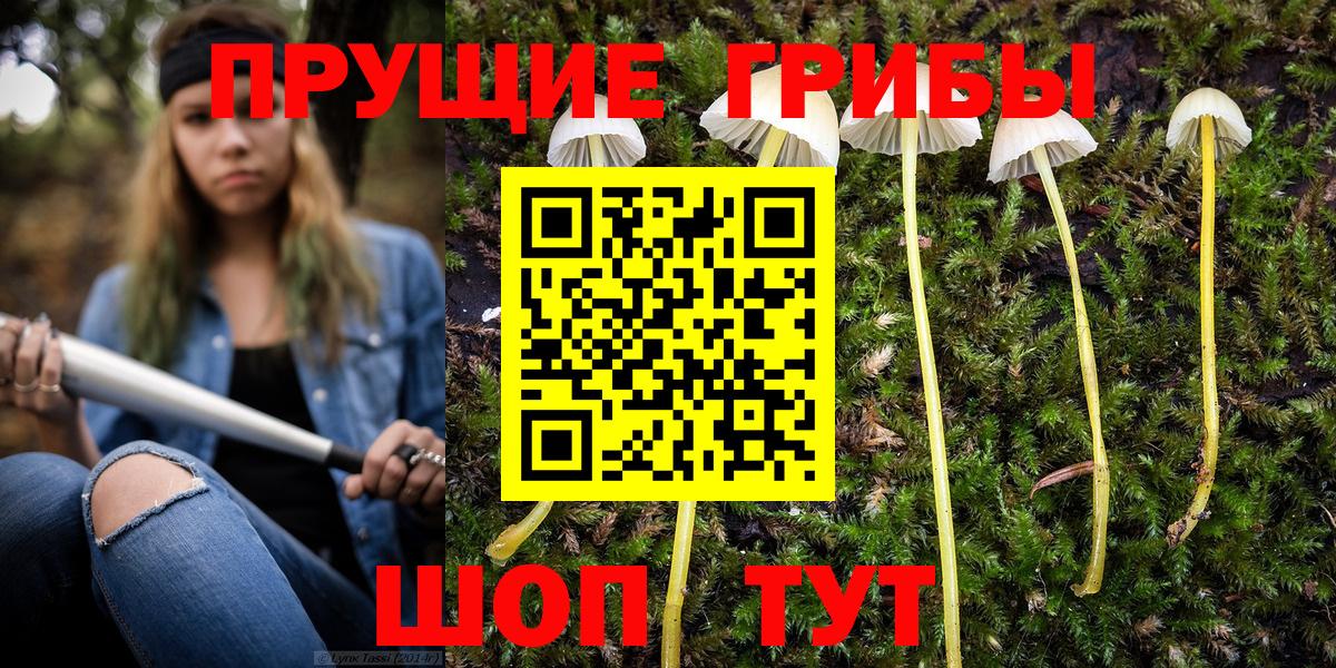 Галлюциногенные грибы Psilocybe  Галлюциногенные грибы мицелий  купить наркотик  Александров  Вход с VPN 